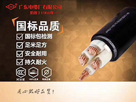 輻照交聯(lián)聚乙烯絕緣電力電纜系列YJV，YJV22，YJ(F)E，YJ(F)E22，F(xiàn)YJV，F(xiàn)YJV22