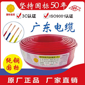 聚氯乙烯絕緣電線系列BV，BVV，BV（B），BVR，RV