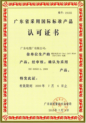 廣東省采用國(guó)際標(biāo)準(zhǔn)產(chǎn)品認(rèn)可證書(shū)(1-3kV)